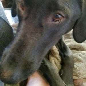 Meet your Posher, Joanna